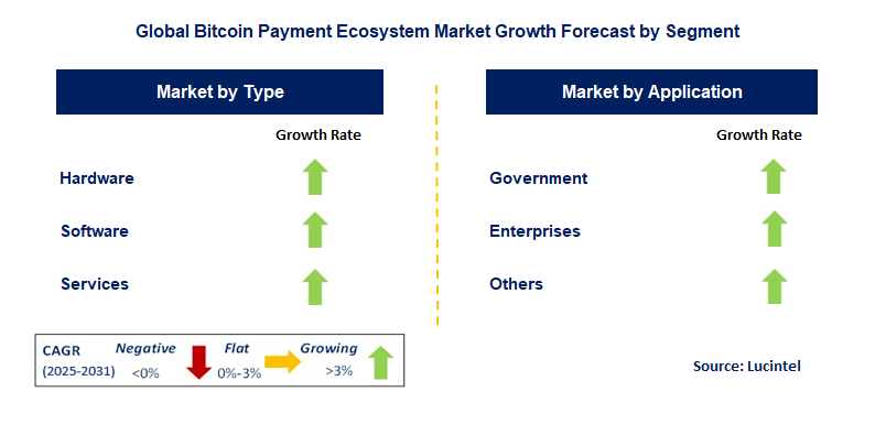 Bitcoin Payment Ecosystem Market by Segment